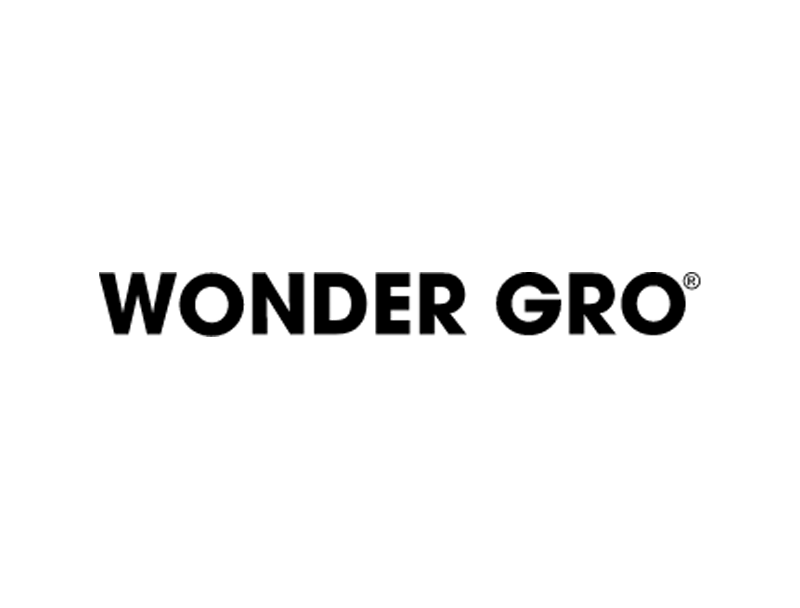 CE26-SponsorWG--Sponsor